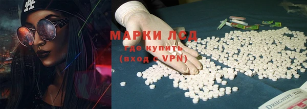 стаф Арсеньев