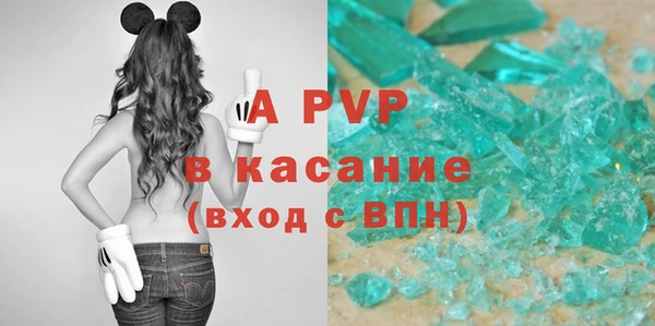 стаф Арсеньев