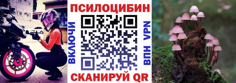 где купить наркотик  Полысаево  Псилоцибиновые грибы Psilocybe 